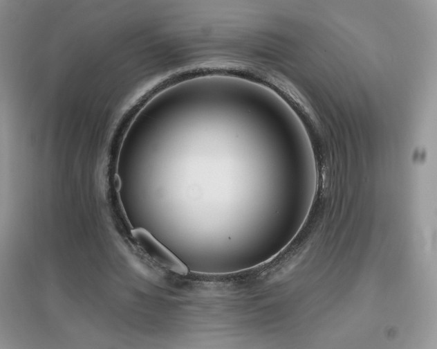 X0000097000436200802081447