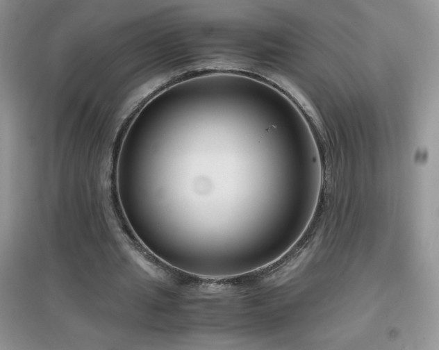 X0000097000437200802081447