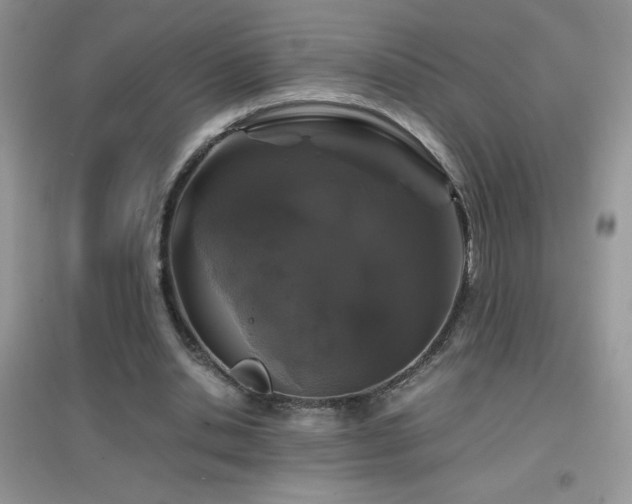 X0000097000438200802081447