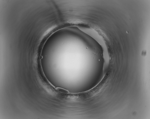 X0000097000440200802081447