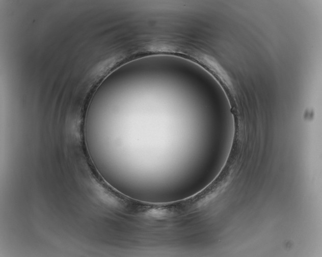 X0000097000441200802081447