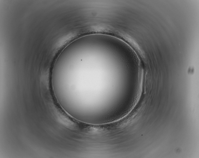 X0000097000442200802081447