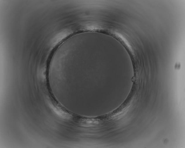X0000097000443200802081447