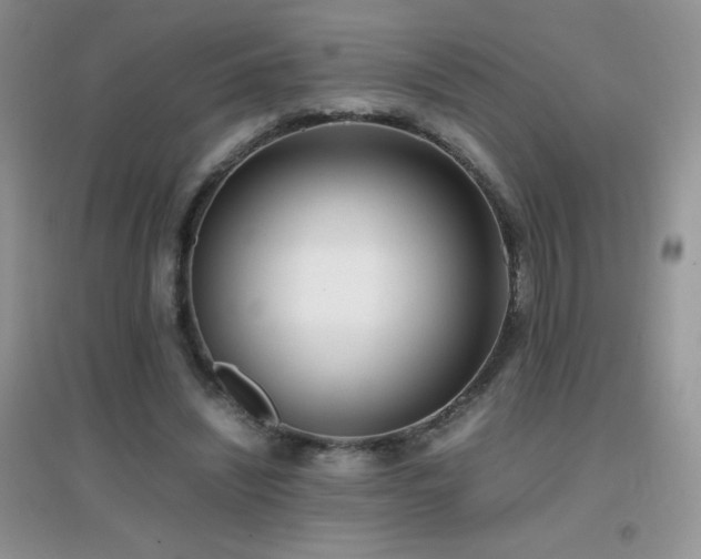 X0000097000444200802081447
