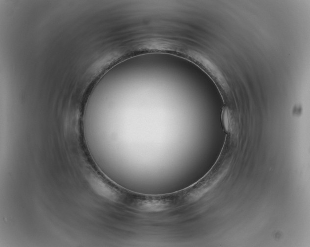 X0000097000445200802081447