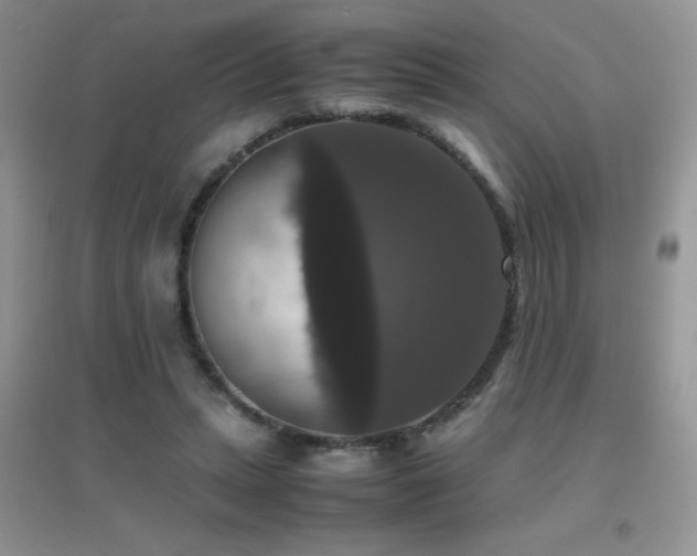 X0000097000447200802081447
