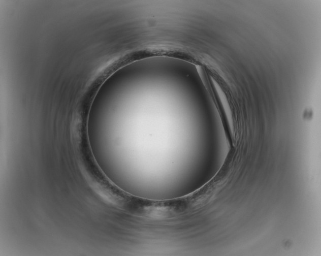 X0000097000448200802081447