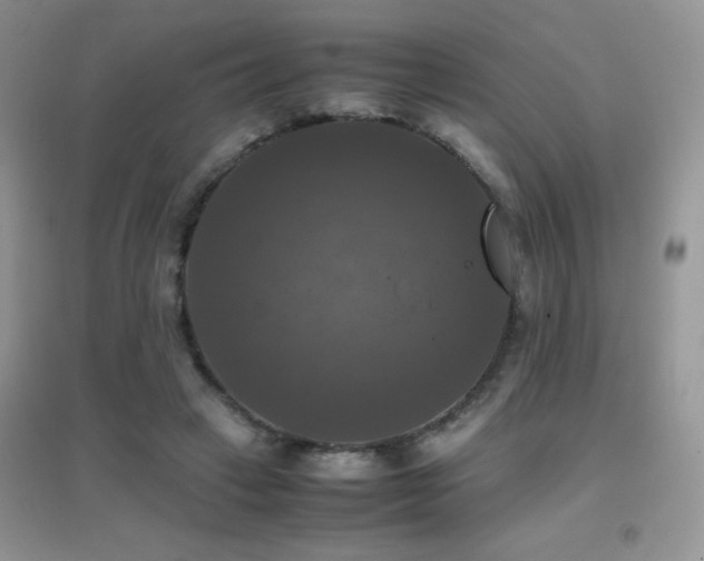 X0000097000449200802081447