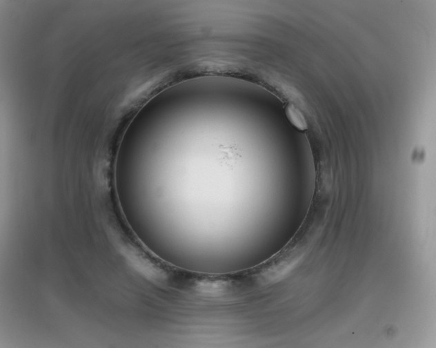 X0000097000450200802081448