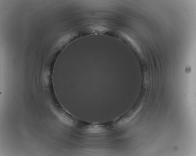 X0000097000451200802081448
