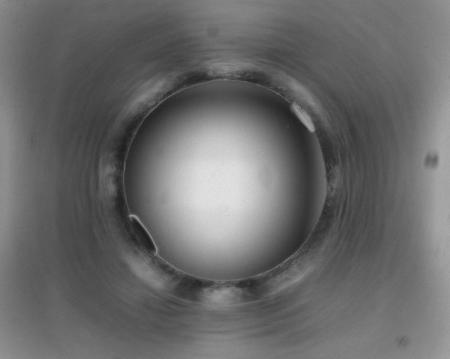 X0000097000452200802081448