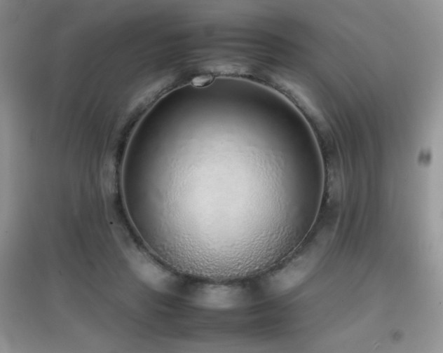 X0000097000453200802081448