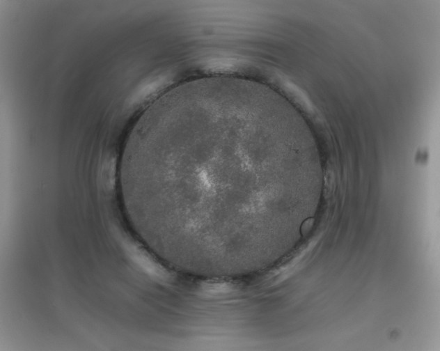 X0000097000454200802081448