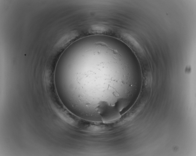 X0000097000455200802081448