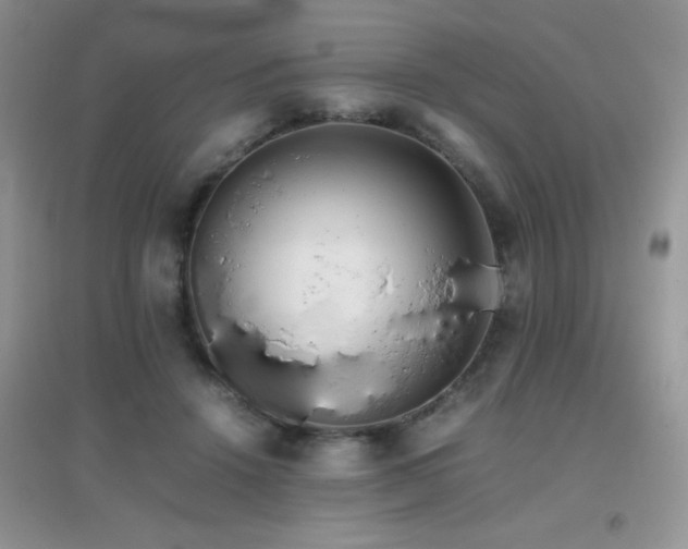 X0000097000456200802081448