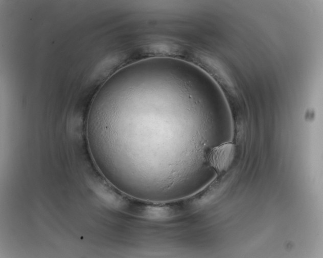 X0000097000457200802081448