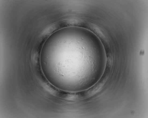 X0000097000458200802081448