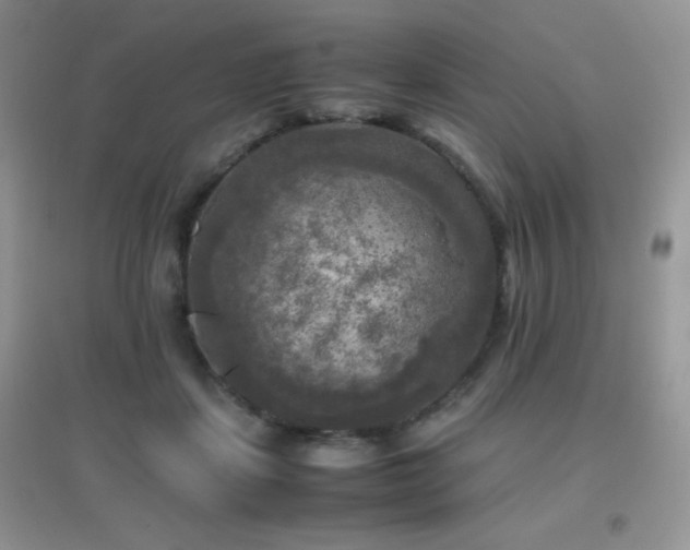 X0000097000459200802081448