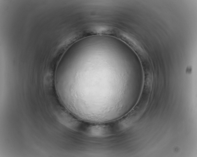 X0000097000461200802081448