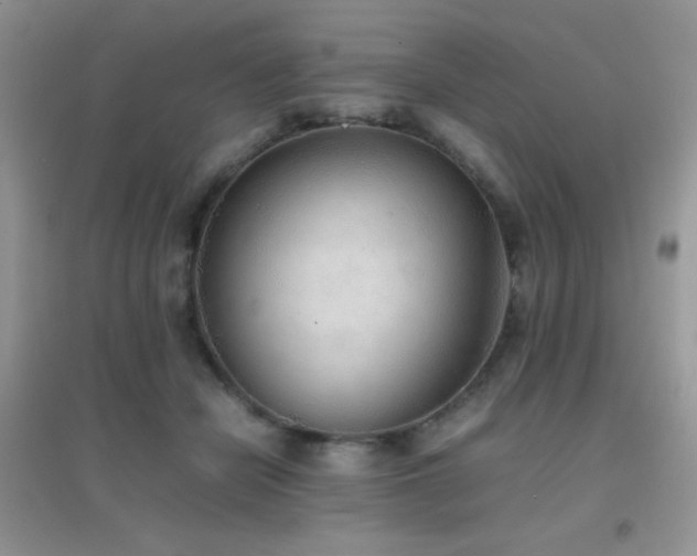 X0000097000462200802081448
