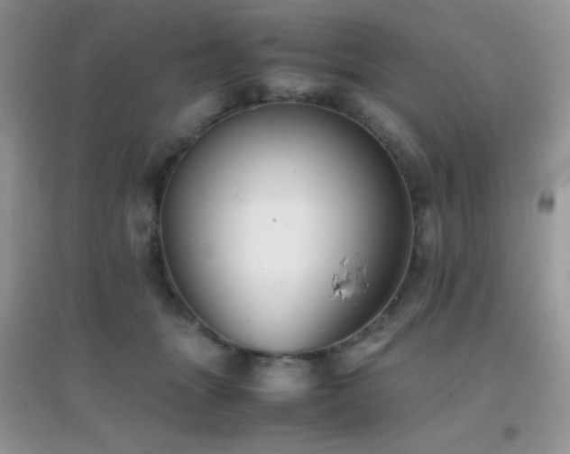 X0000097000463200802081448
