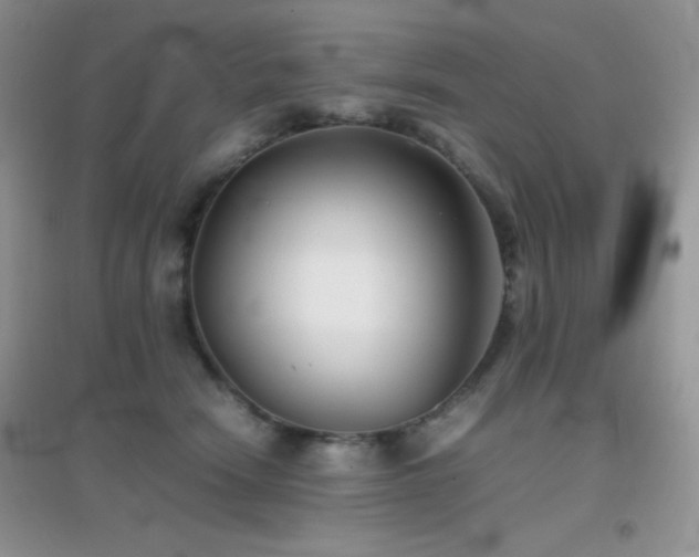 X0000097000466200802081448