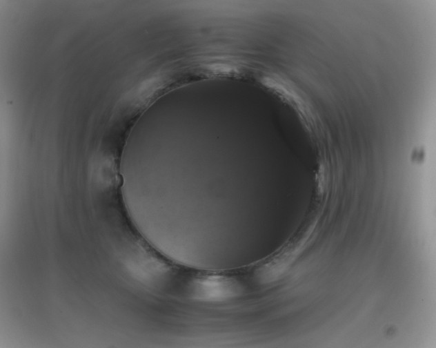 X0000097000467200802081448
