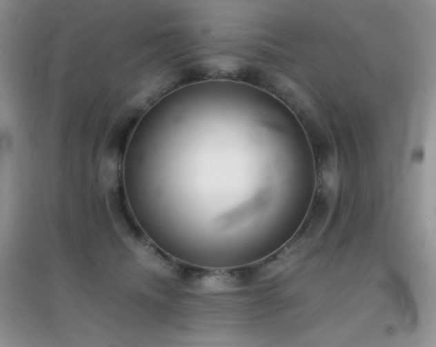 X0000097000468200802081448