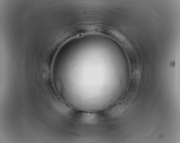 X0000097000469200802081448