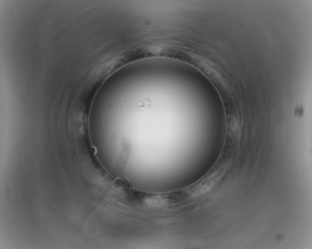 X0000097000470200802081448
