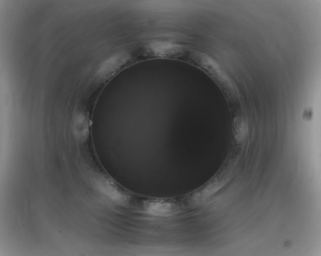 X0000097000471200802081448