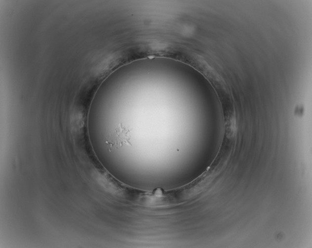 X0000097000472200802081448