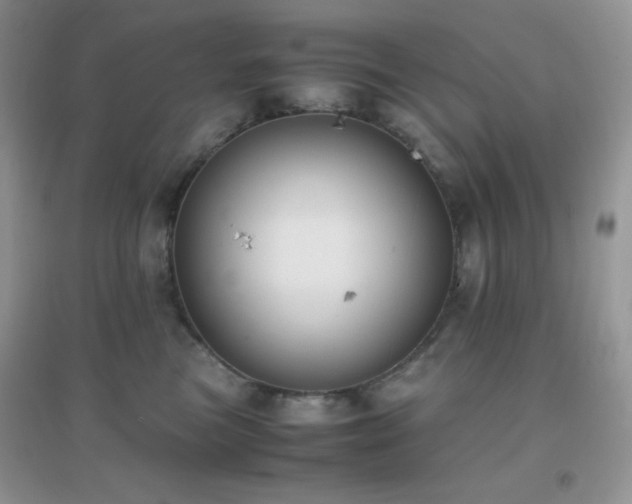 X0000097000473200802081448