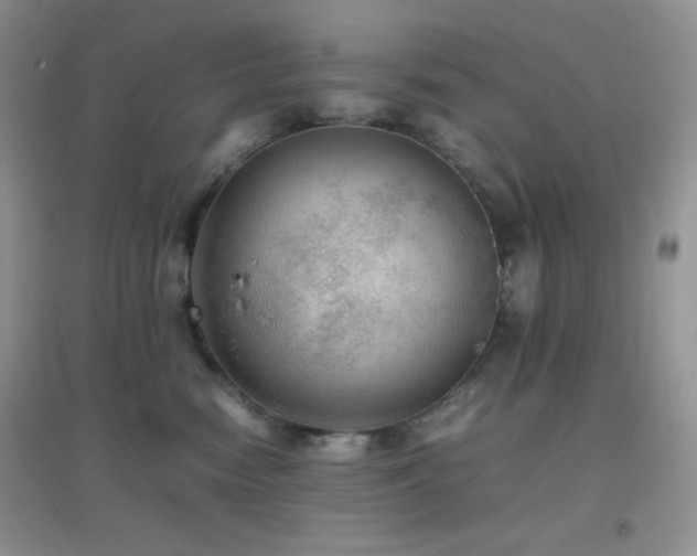 X0000097000474200802081448