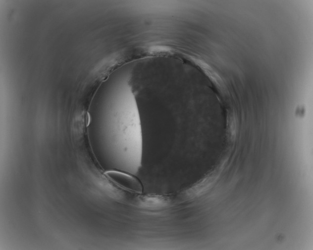 X0000097000475200802081448