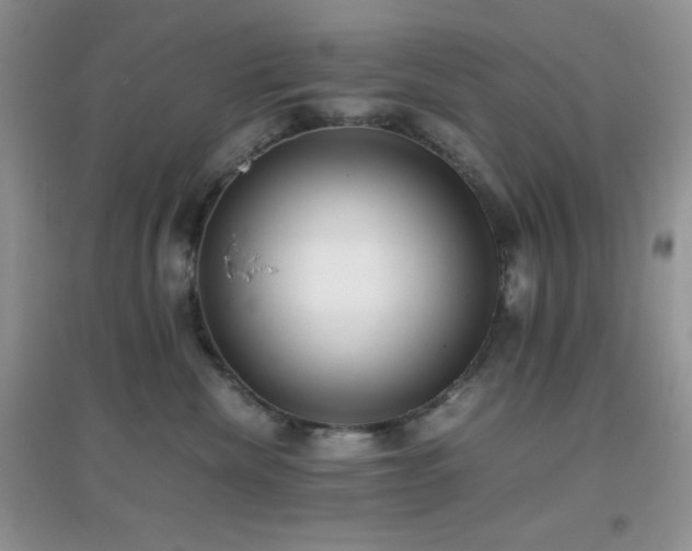 X0000097000476200802081448