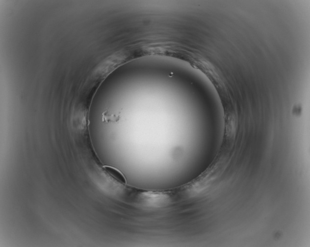 X0000097000477200802081448