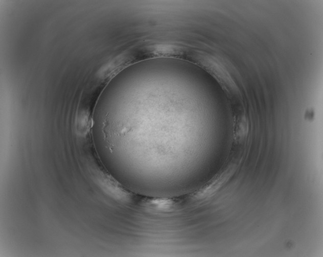 X0000097000478200802081448