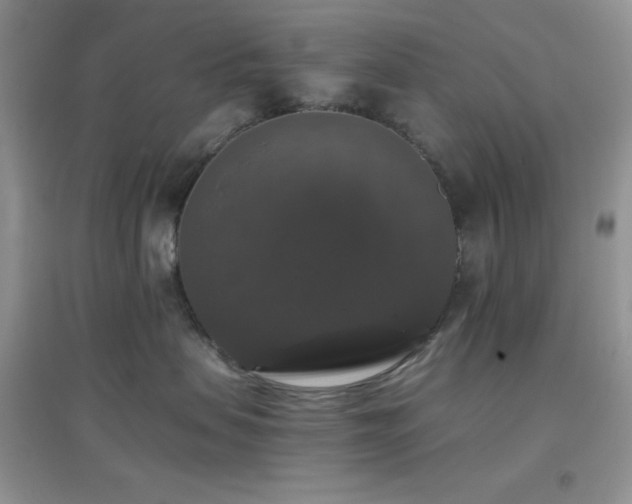 X0000097000479200802081448