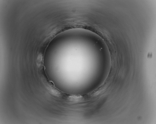X0000097000480200802081448