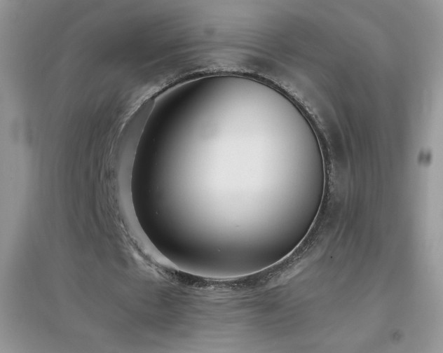 X0000097000481200802081447