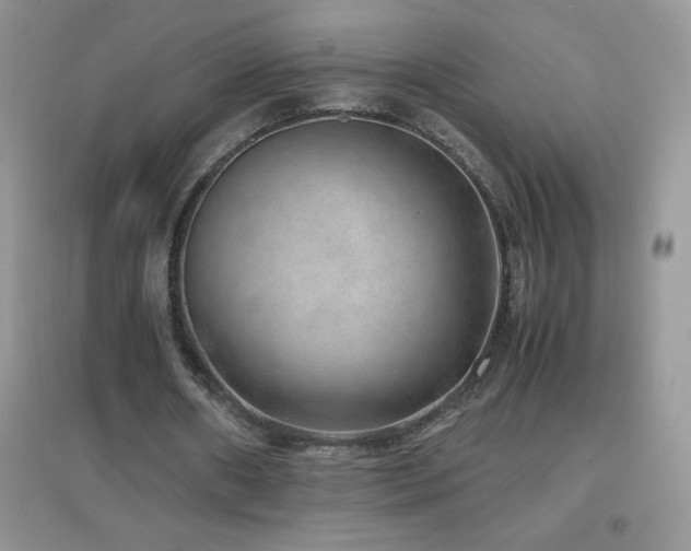 X0000097000482200802081447