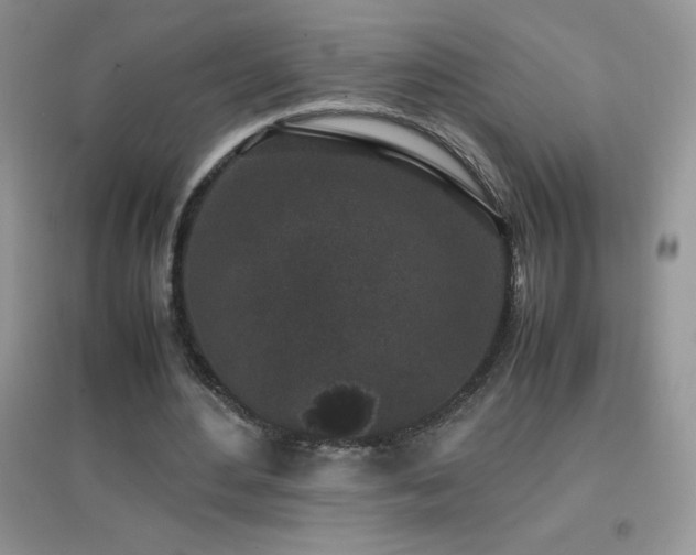 X0000097000484200802081447