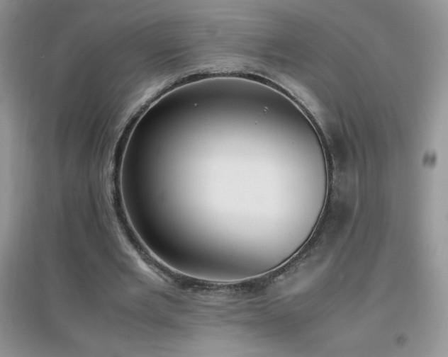 X0000097000485200802081447
