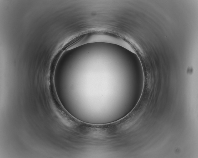 X0000097000486200802081447