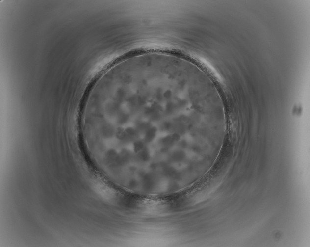 X0000097000487200802081447