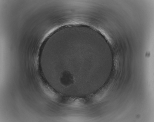 X0000097000488200802081447