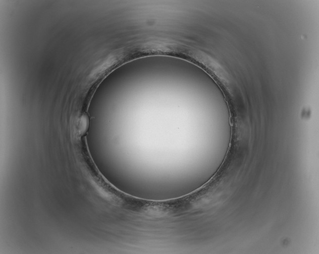 X0000097000489200802081447