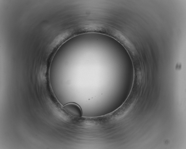 X0000097000490200802081447