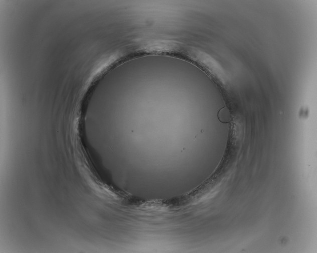 X0000097000491200802081447